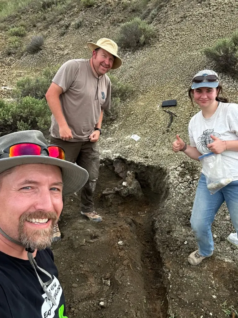 Fossil discoveries